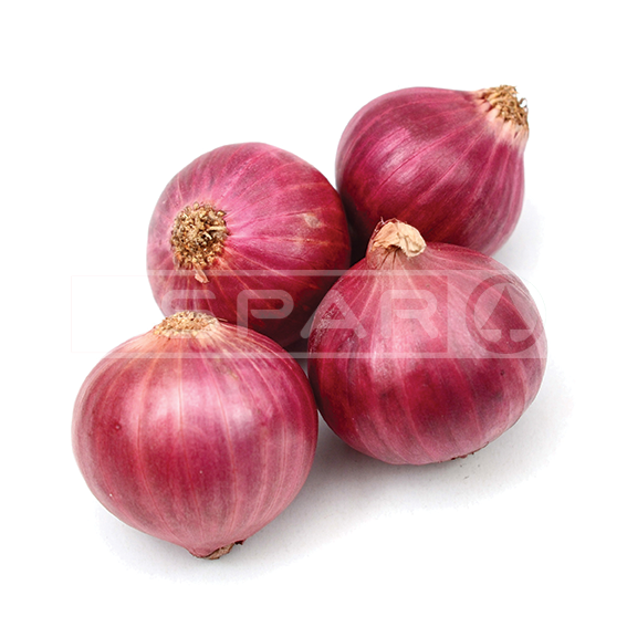 BIG Onions - SPAR Sri Lanka