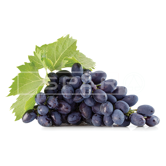 BLACK Grapes
